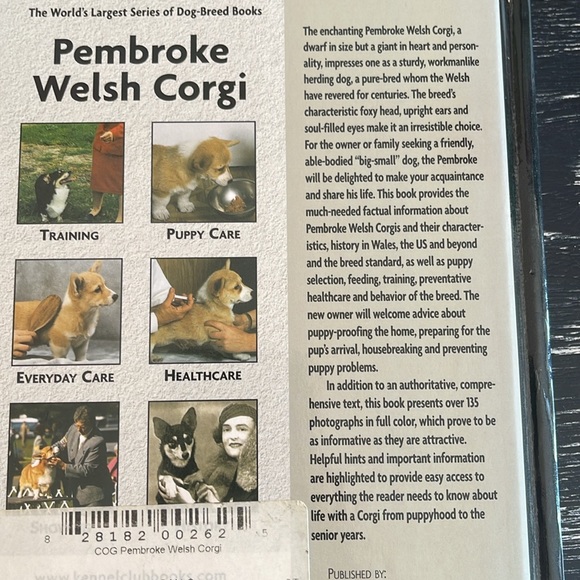 Pembroke Welsh Corgi guide to owning and caring for your dog. - Picture 2 of 3